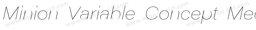 Minion Variable Concept Medium字体转换